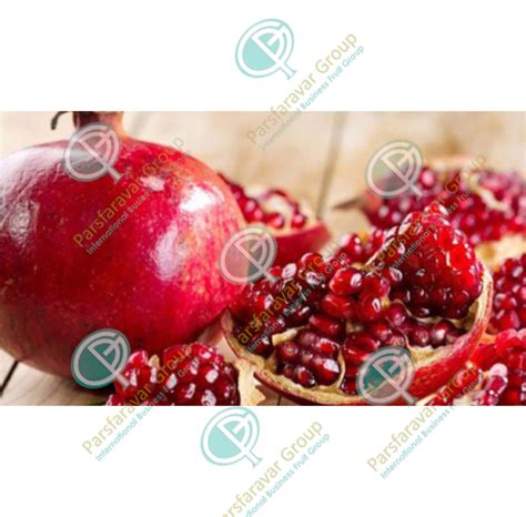 Buy Frozen Apple Juice Concentrate Bulk Fruits Make