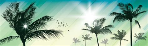 Beautiful Palm Tree Banner Background Palm Tree Poster Background