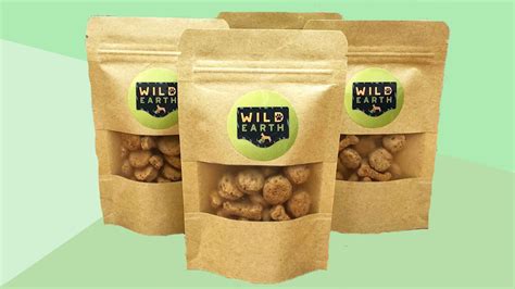 Recalls of wild earth dry kibble and dog treat. Vegan Pet Food Startup Wild Earth Partners With MARS ...