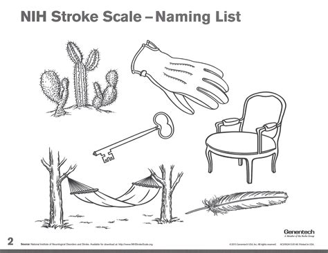 Nih Stroke Scale Pdf Fill And Sign Printable Template Online