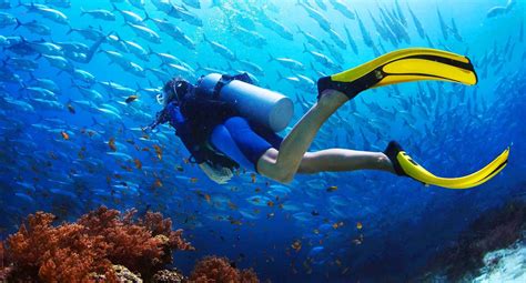 Scuba Diving In Northbay Island Andaman