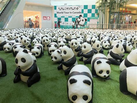 Come See 1600 Pandas World Tour In Canada At Metropolis At Metrotown