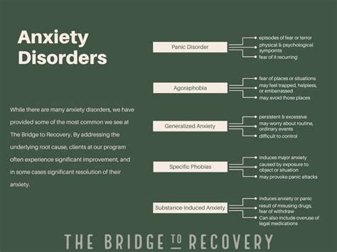 Anxiety And Panic Disorders The Bridge To Recovery