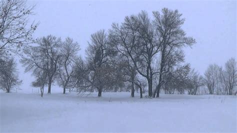Beautiful Snowy Field Stock Footage Free To Use Just Credit Me