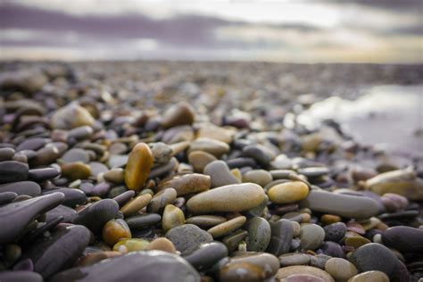 Free Photo Close Up Photography Of Wet Stones Blur Close Up Depth Of Field Free Download