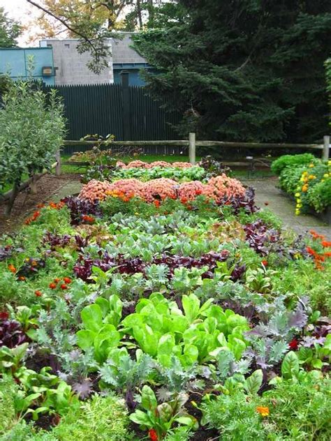 Best Home Vegetable Garden Design All About Hobby