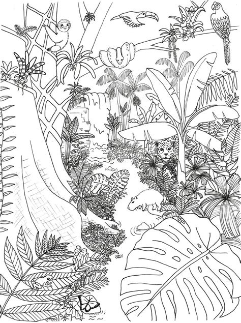 Coloring Pages Archives Rainforest Alliance