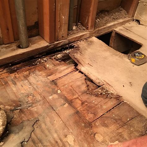 A subfloor is the layer at the very bottom of your shower pan. Bathroom Subfloor in 2020 | Installing heated floors ...