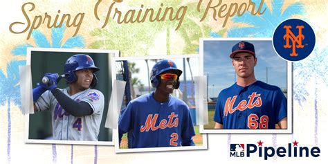 Mets Minor League Spring Training Report
