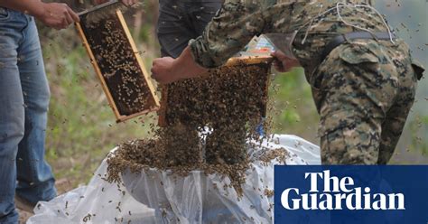Beekeeper Creates Coat Of Living Bees In Pictures World News The Guardian