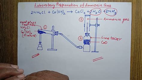 Laboratory Method Of Preparation Of Ammonia Gas Ii Youtube