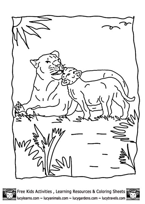 Lioness Coloring Pages Download And Print For Free Freeprintableme