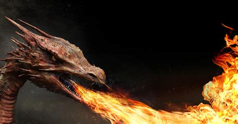 Could Fire Breathing Dragons Exist Science Picker