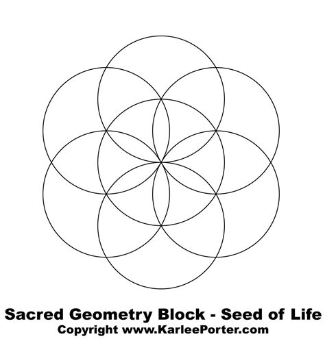 Seed Of Life Flower Sacred Geometry Best Flower Site