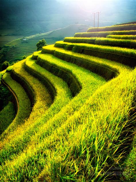 Open or cultivated land, plain; Terraced rice fields - Justified Image Grid - Premium WordPress Gallery