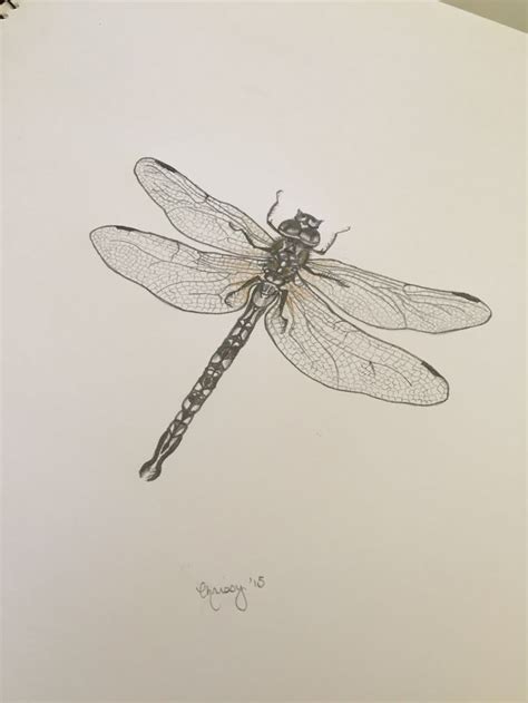 Dragonfly Pencil Drawing By Chrissy Malvaso Inspirational Tattoos