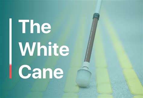 All You Need To Know About The White Cane Blind Cane White Cane