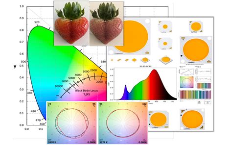 White Paper Achieving Optimal Color Rendition With Leds — Led