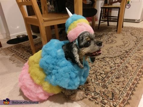 Cotton Candy Dog Costume Photo 67