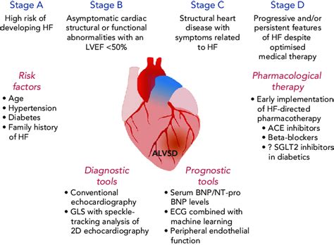 Stages Of Heart Failure Chart