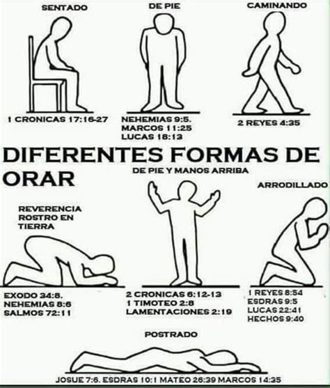 Posturas Corporales Para Orar En La Biblia Citas De La