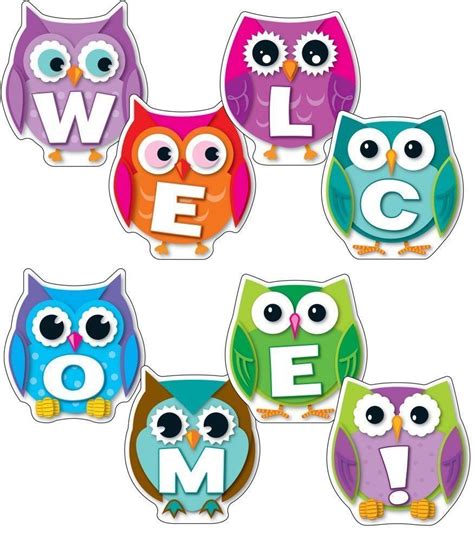 Daily Life In Your Day Care Owl Theme Classroom Owl Classroom Decor