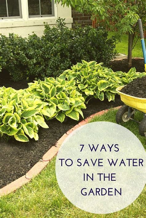 Maybe you would like to learn more about one of these? Best Ways to Save Water in Your Garden in 2020 | Ways to ...