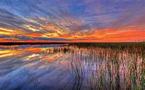 Everglades National Park Grande Miami E Miami Beach