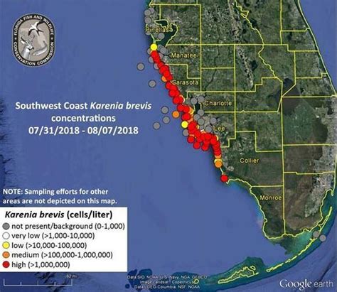 Florida Red Tide Update Algae Blooms Blamed For Sickening People