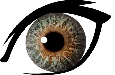 Eyes Png Images Transparent Background Png Play