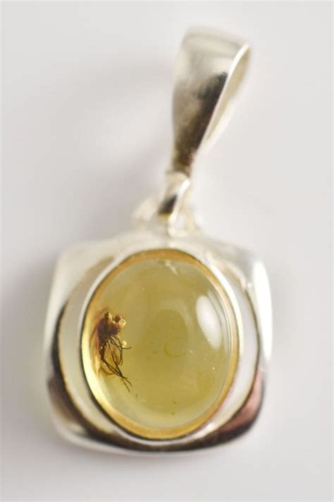 Baltic Amber Sterling Silver Pendant With Fossil By Ambersmell