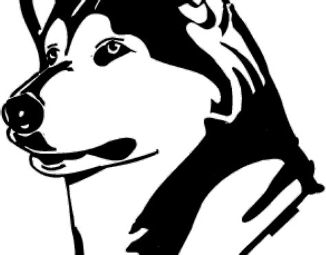 Husky Clipart Face University Of Washington Huskies Png Download