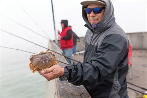 Crab Fishermen Dish Secrets To The Shell Game Marin Magazine