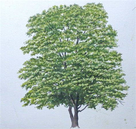 Baumstämme als sitzbänke, hocker & barhocker. Einen Baum malen mit Aquarellfarben - John Fisher | Baum ...