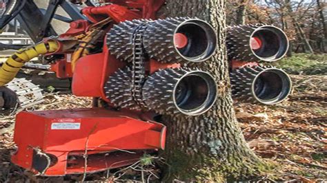 Amazing Fastest Huge Tree Harvest And Removal Machines Working