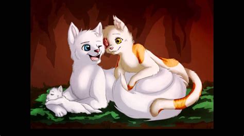 My Top 10 Favourite Warrior Cats Couples Youtube