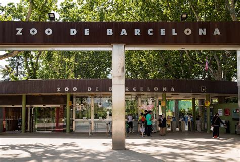Barcelona Zoo Barcelona Jet2holidays