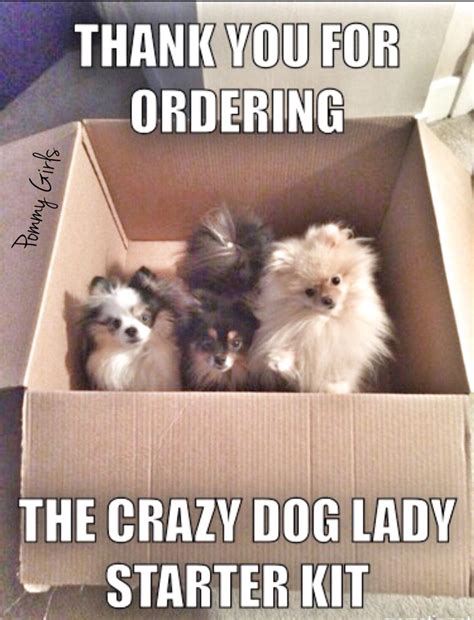 Thank You For Ordering The Crazy Dog Lady Starter Kit