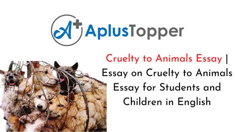 Cruelty To Animals Essay Essay On Cruelty To Animals Essay For