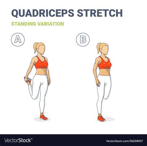 Standing Quadriceps Stretch Off 72