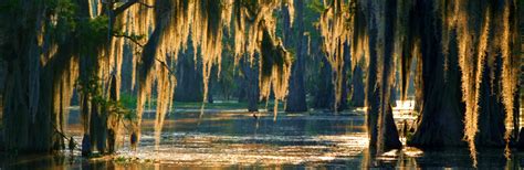 10 Most Beautiful Places In Louisiana Expedia