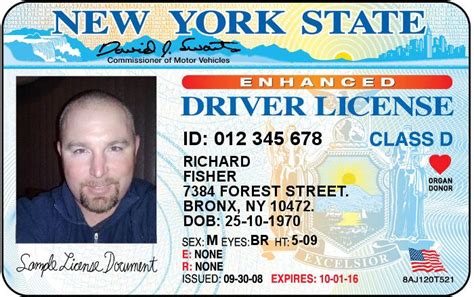 New York Drivers License Festisite Drivers License York New York