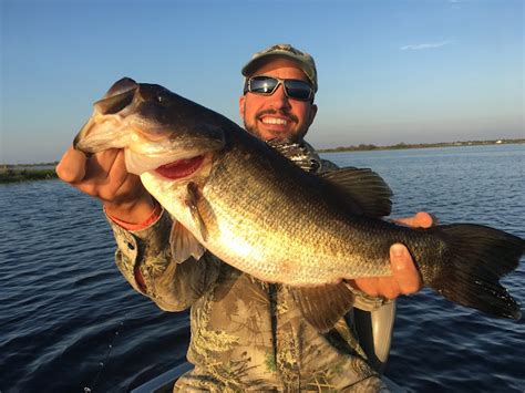 Okeechobee Fishing Report Lake Okeechobee Bass Fishing Fishing Guides