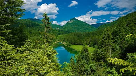 Forest Trees Mountains Lake Germany Bayern Reservoir Upper