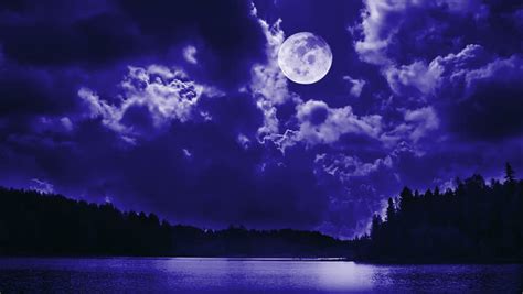 Fantastic View Full Moon The Night Lake Mystical Dark Forest Shallow