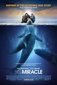 Big Miracle movie poster - Fonts In Use