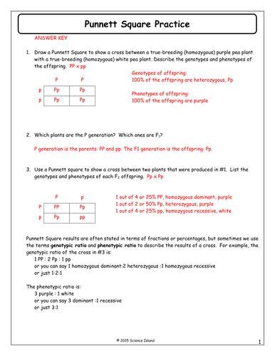 , dna is , instructions on. 7-Punnett-Square-Practice-Answer-Key.docx | Genetics ...