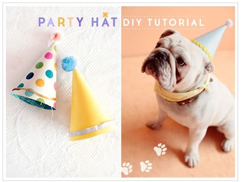 Doggy Party Hat Dog Birthday Hat Diy Birthday Hat For Dog Diy Party