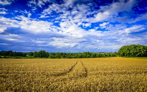 Agriculture Wallpaper Hd