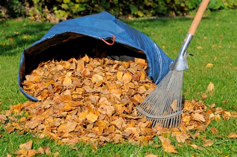 Your Guide To Fall Lawn Care Theberge Homes